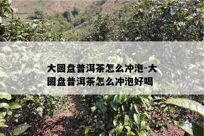 大圆盘普洱茶怎么冲泡-大圆盘普洱茶怎么冲泡好喝