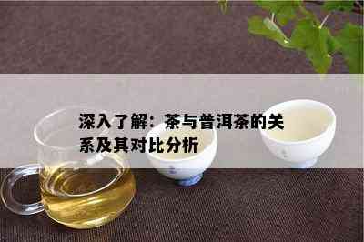 深入了解：茶与普洱茶的关系及其对比分析