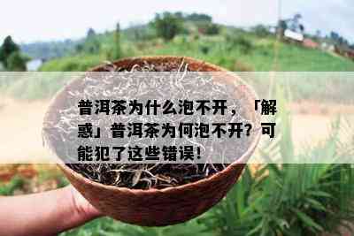 普洱茶为什么泡不开，「解惑」普洱茶为何泡不开？可能犯了这些错误！