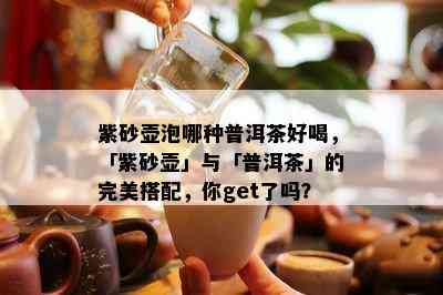 紫砂壶泡哪种普洱茶好喝，「紫砂壶」与「普洱茶」的完美搭配，你get了吗？