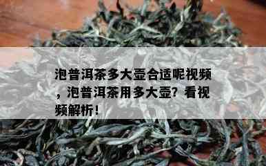 泡普洱茶多大壶合适呢视频，泡普洱茶用多大壶？看视频解析！