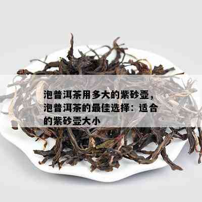 泡普洱茶用多大的紫砂壶，泡普洱茶的更佳选择：适合的紫砂壶大小