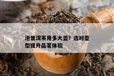 泡普洱茶用多大壶？选对壶型提升品茗体验