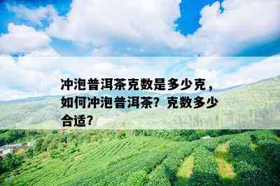 冲泡普洱茶克数是多少克，如何冲泡普洱茶？克数多少合适？