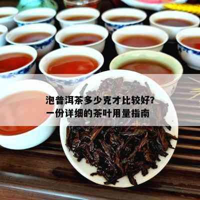 泡普洱茶多少克才比较好？一份详细的茶叶用量指南