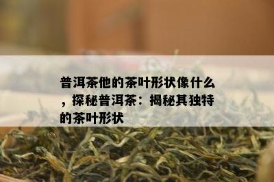 普洱茶他的茶叶形状像什么，探秘普洱茶：揭秘其独特的茶叶形状