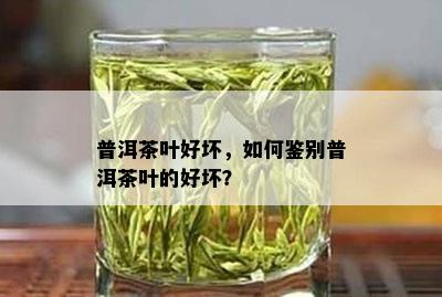 普洱茶叶好坏，如何鉴别普洱茶叶的好坏？