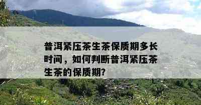 普洱紧压茶生茶保质期多长时间，如何判断普洱紧压茶生茶的保质期？