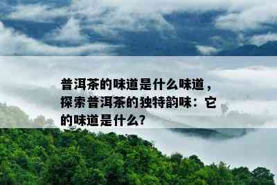 普洱茶的味道是什么味道，探索普洱茶的独特韵味：它的味道是什么？