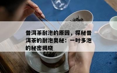 普洱茶耐泡的原因，探秘普洱茶的耐泡奥秘：一叶多泡的秘密揭晓