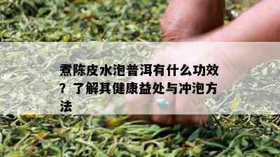 煮陈皮水泡普洱有什么功效？了解其健康益处与冲泡方法