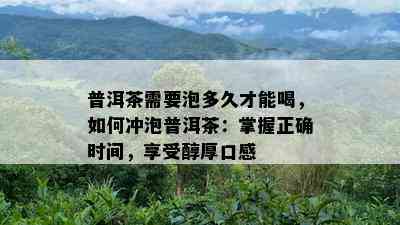 普洱茶需要泡多久才能喝，如何冲泡普洱茶：掌握正确时间，享受醇厚口感