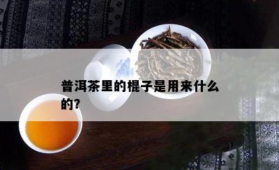 普洱茶里的棍子是用来什么的？