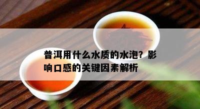 普洱用什么水质的水泡？影响口感的关键因素解析