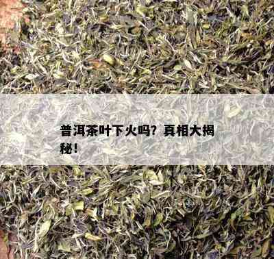 普洱茶叶下火吗？真相大揭秘！