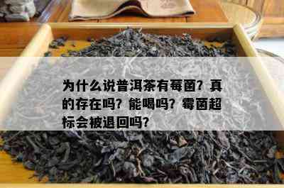 为什么说普洱茶有莓菌？真的存在吗？能喝吗？霉菌超标会被退回吗？