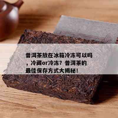 普洱茶放在冰箱冷冻可以吗，冷藏or冷冻？普洱茶的更佳保存方式大揭秘！