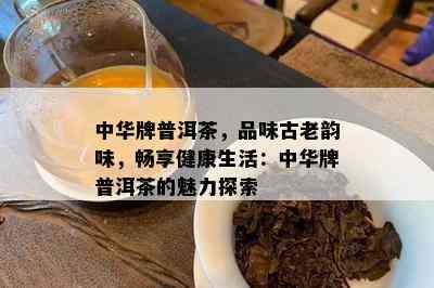 中华牌普洱茶，品味古老韵味，畅享健康生活：中华牌普洱茶的魅力探索