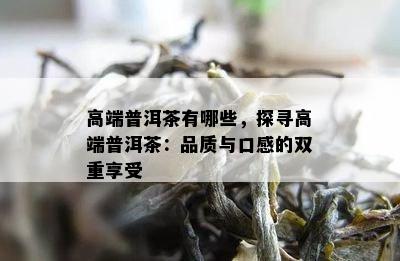 高端普洱茶有哪些，探寻高端普洱茶：品质与口感的双重享受