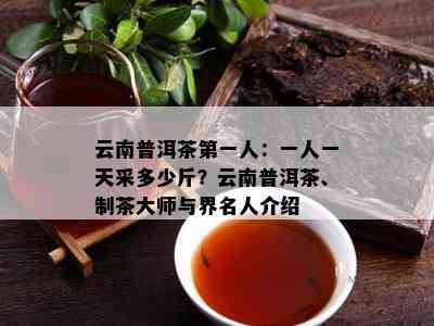 云南普洱茶之一人：一人一天采多少斤？云南普洱茶、制茶大师与界名人介绍