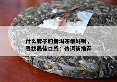 什么牌子的普洱茶更好喝，寻找更佳口感：普洱茶推荐