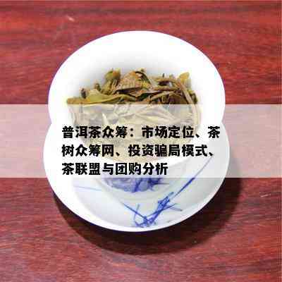 普洱茶众筹：市场定位、茶树众筹网、投资骗局模式、茶联盟与团购分析