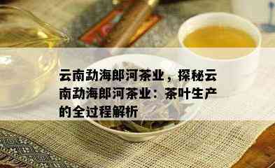 云南勐海郎河茶业，探秘云南勐海郎河茶业：茶叶生产的全过程解析