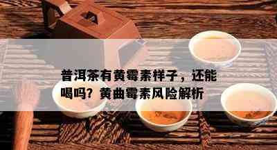 普洱茶有黄霉素样子，还能喝吗？黄曲霉素风险解析