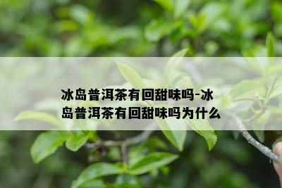 冰岛普洱茶有回甜味吗-冰岛普洱茶有回甜味吗为什么