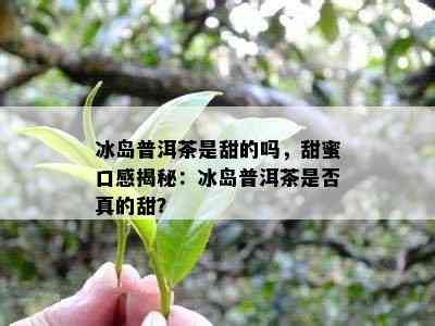 冰岛普洱茶是甜的吗，甜蜜口感揭秘：冰岛普洱茶是否真的甜？