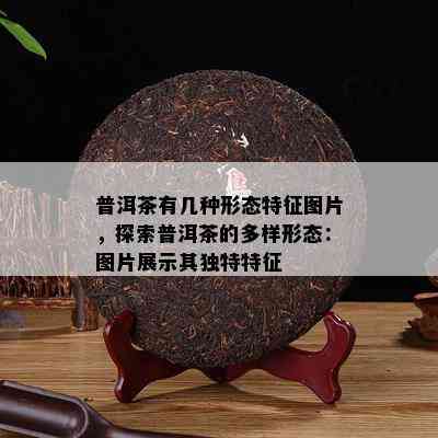 普洱茶有几种形态特征图片，探索普洱茶的多样形态：图片展示其独特特征