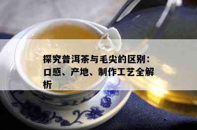 探究普洱茶与毛尖的区别：口感、产地、制作工艺全解析