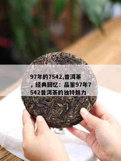 97年的7542,普洱茶，经典回忆：品鉴97年7542普洱茶的独特魅力