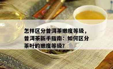 怎样区分普洱茶嫩度等级，普洱茶新手指南：如何区分茶叶的嫩度等级？