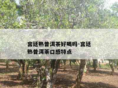 宫廷熟普洱茶好喝吗-宫廷熟普洱茶口感特点