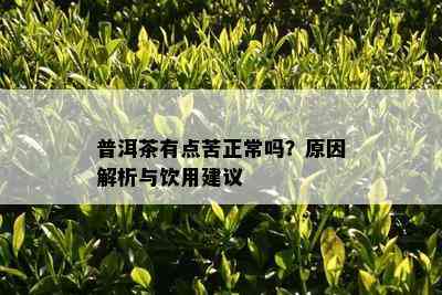 普洱茶有点苦正常吗？原因解析与饮用建议