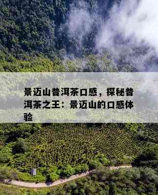 景迈山普洱茶口感，探秘普洱茶之王：景迈山的口感体验