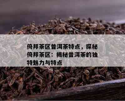 倚邦茶区普洱茶特点，探秘倚邦茶区：揭秘普洱茶的独特魅力与特点