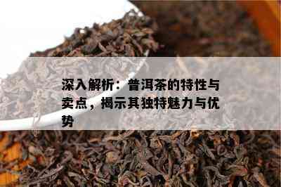 深入解析：普洱茶的特性与卖点，揭示其独特魅力与优势