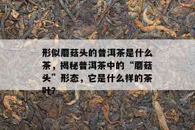 形似蘑菇头的普洱茶是什么茶，揭秘普洱茶中的“蘑菇头”形态，它是什么样的茶叶？