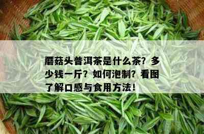 蘑菇头普洱茶是什么茶？多少钱一斤？如何泡制？看图了解口感与食用方法！