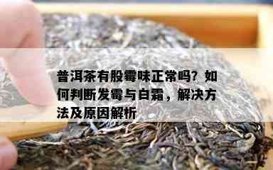 普洱茶有股霉味正常吗？如何判断发霉与白霜，解决方法及原因解析