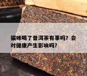 猫咪喝了普洱茶有事吗？会对健康产生影响吗？