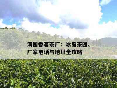 满园香茗茶厂：冰岛茶园、厂家电话与地址全攻略