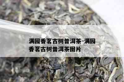 满园香茗古树普洱茶-满园香茗古树普洱茶图片