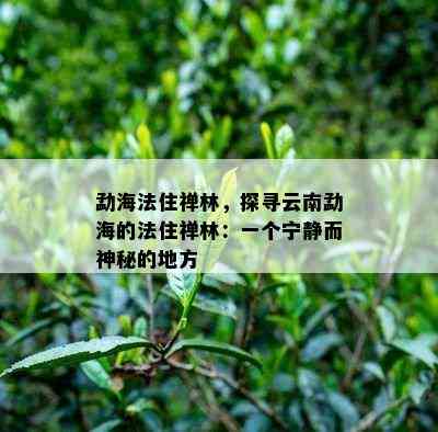 勐海法住禅林，探寻云南勐海的法住禅林：一个宁静而神秘的地方