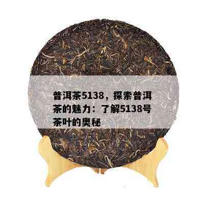 普洱茶5138，探索普洱茶的魅力：了解5138号茶叶的奥秘