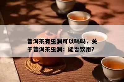 普洱茶有虫洞可以喝吗，关于普洱茶虫洞：能否饮用？