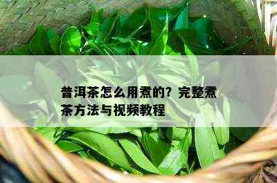 普洱茶怎么用煮的？完整煮茶方法与视频教程