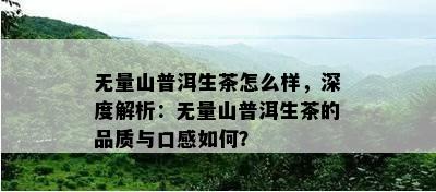 无量山普洱生茶怎么样，深度解析：无量山普洱生茶的品质与口感如何？